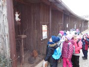 Vánoční výlet - Ekocentrum Mladá Boleslav